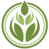 cropped-Favicon.png